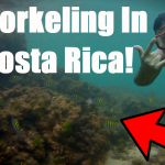 Snorkeling in Costa Rica