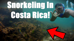 Snorkeling in Costa Rica